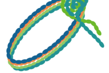 【体験談】イタリアの詐欺手法【ミサンガ詐欺】